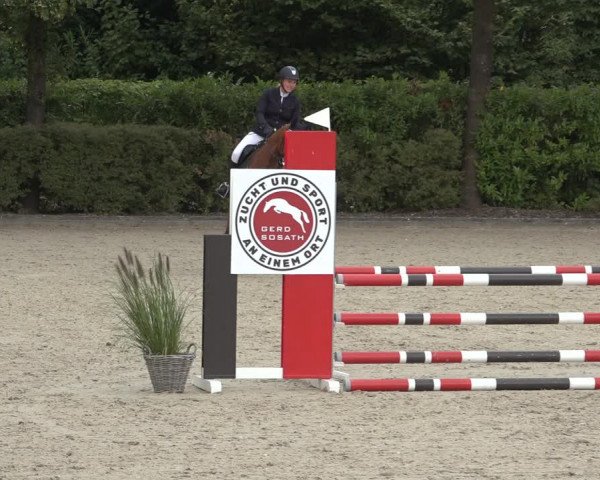 Reitturnier Lemwerder 2022