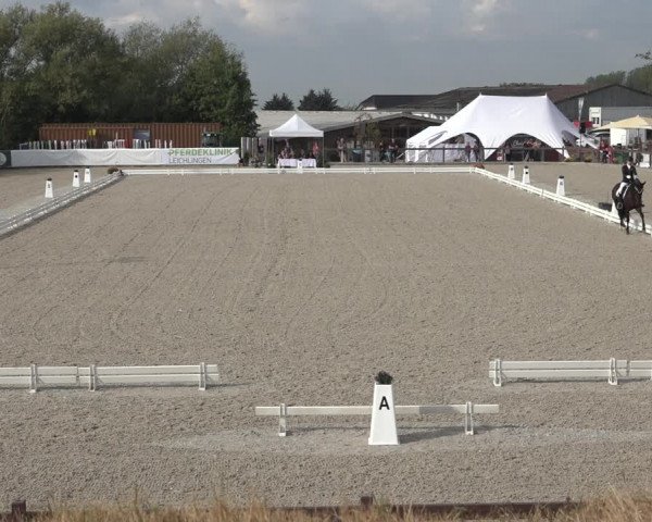 Reitturnier Leichlingen-Witzhelden 2022