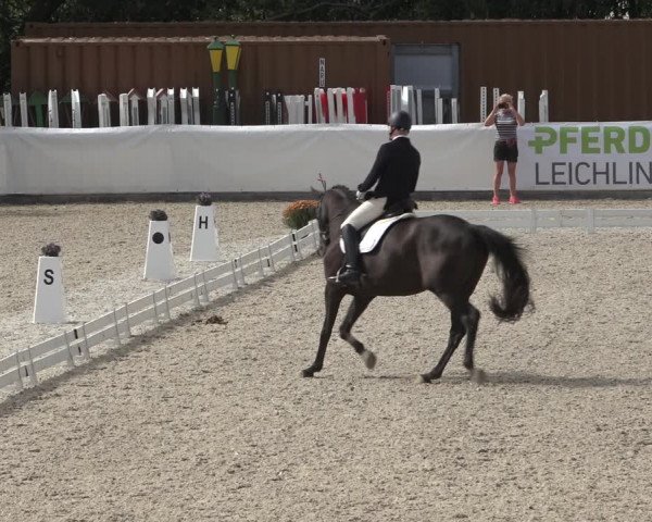 Reitturnier Leichlingen-Witzhelden 2022