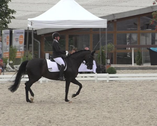 Reitturnier Leichlingen-Witzhelden 2022