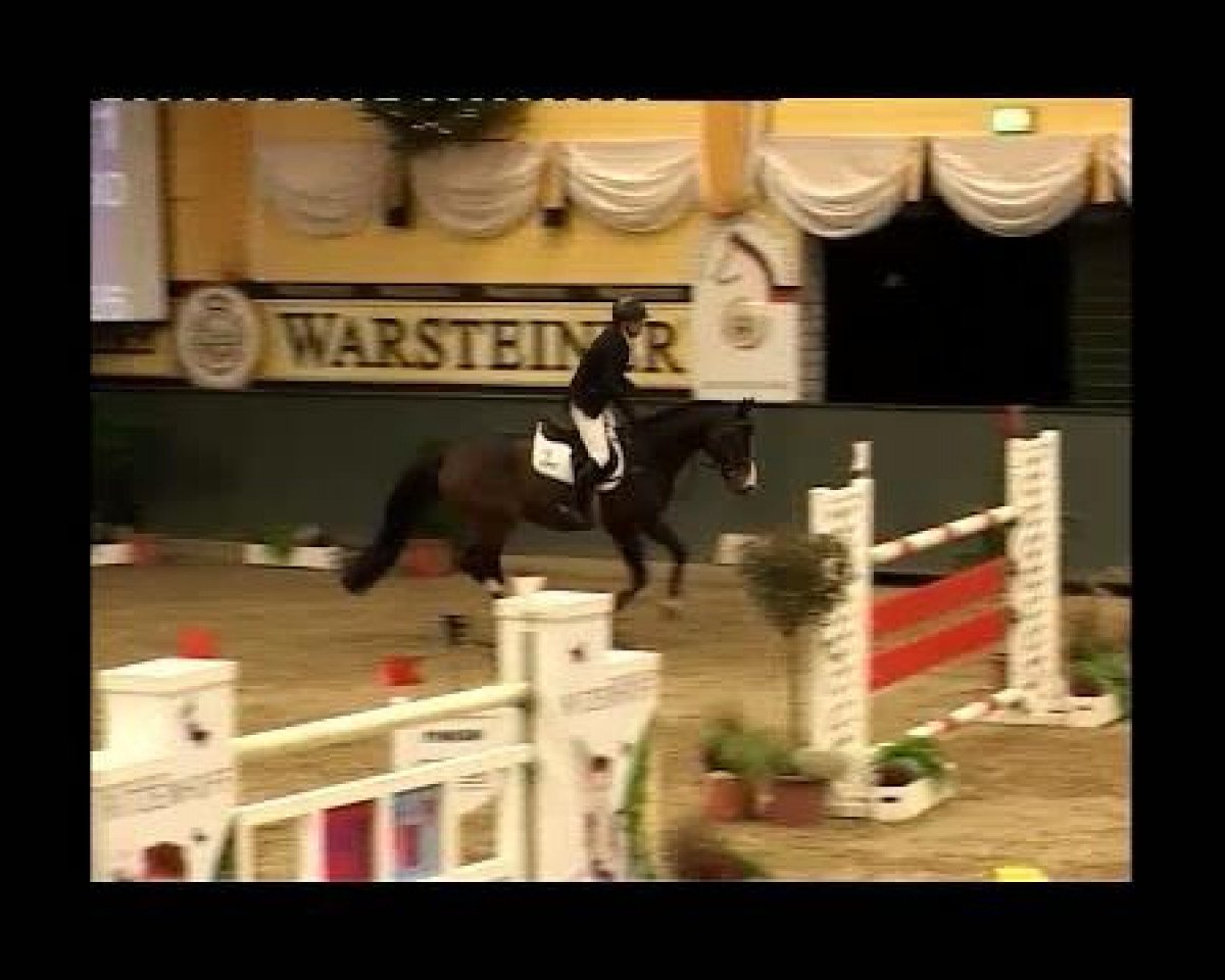 stallion Nordkar (Haflinger, 1958, from Nastor)
