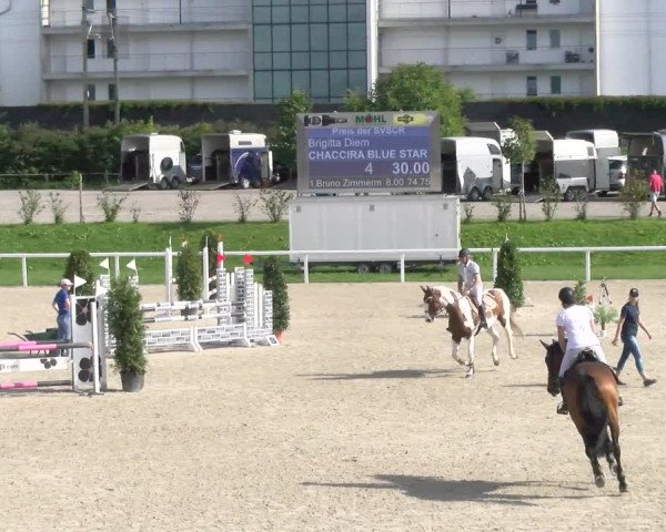 Reitturnier Bülach 2022
