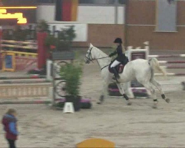 jumper Hilton 20 (Hanoverian, 1993, from Hitchcock)