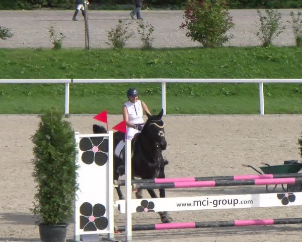 Reitturnier Bülach 2022