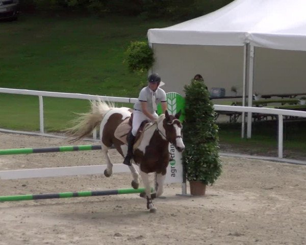 Reitturnier Bülach 2022