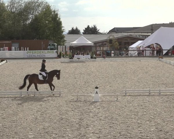 Reitturnier Leichlingen-Witzhelden 2022