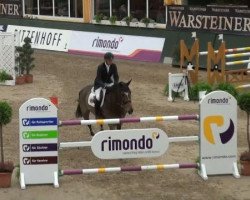 jumper Evarist van de Zwarte Stok (Belgian Warmblood, 2004, from Toulon)