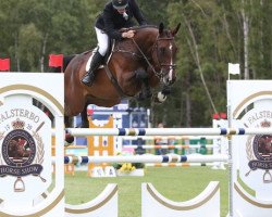 jumper Hunter (Swedish Warmblood, 2011, from Quintender 2)