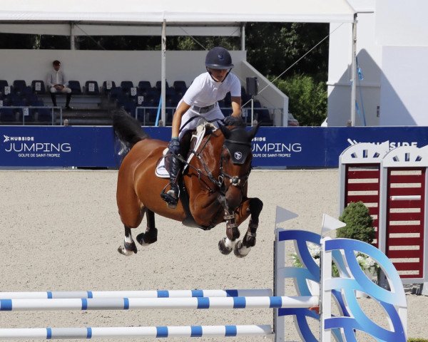 broodmare Surprise (Zangersheide riding horse, 2014, from Emerald van 't Ruytershof)