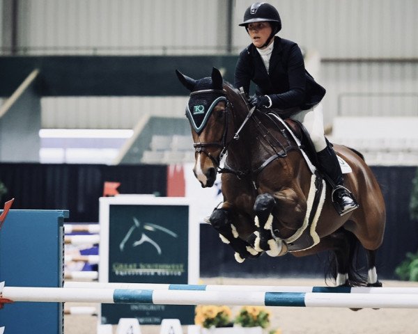 jumper Stakkata 9 (Hanoverian, 2012, from Stakkato)