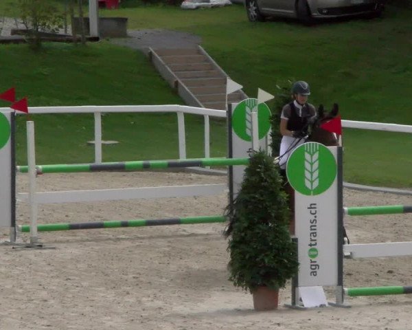 Reitturnier Bülach 2022