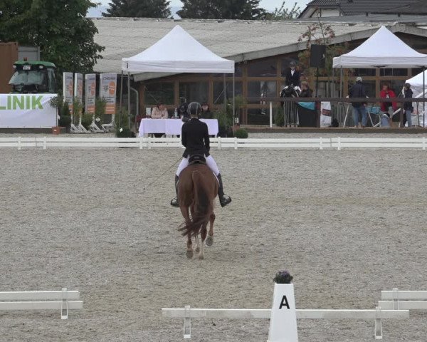 Reitturnier Leichlingen-Witzhelden 2022