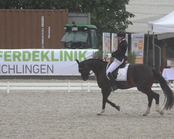Reitturnier Leichlingen-Witzhelden 2022
