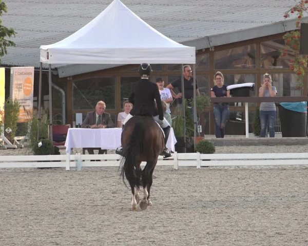 Reitturnier Leichlingen-Witzhelden 2022