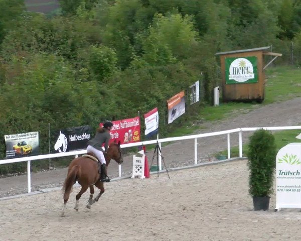 Reitturnier Bülach 2022