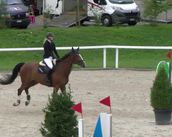Reitturnier Bülach 2022