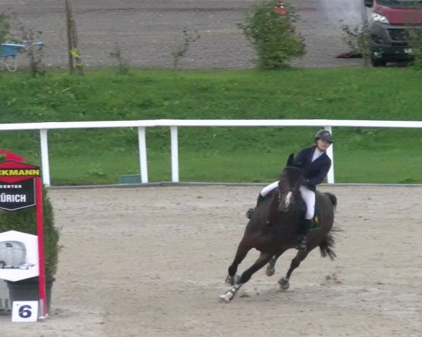 Reitturnier Bülach 2022