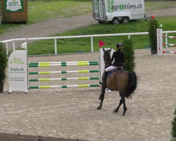 Reitturnier Bülach 2022