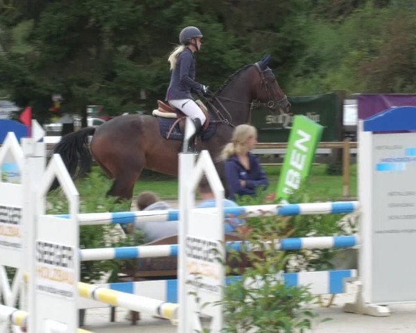 Reitturnier Walldorf/Winterheck 2022
