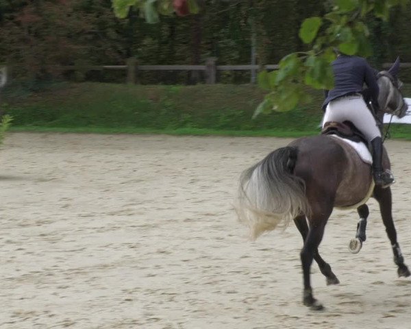 Reitturnier Walldorf/Winterheck 2022