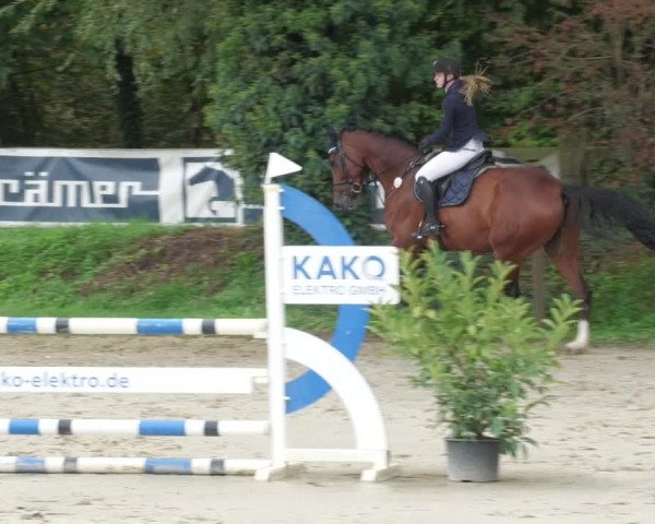 Reitturnier Walldorf/Winterheck 2022