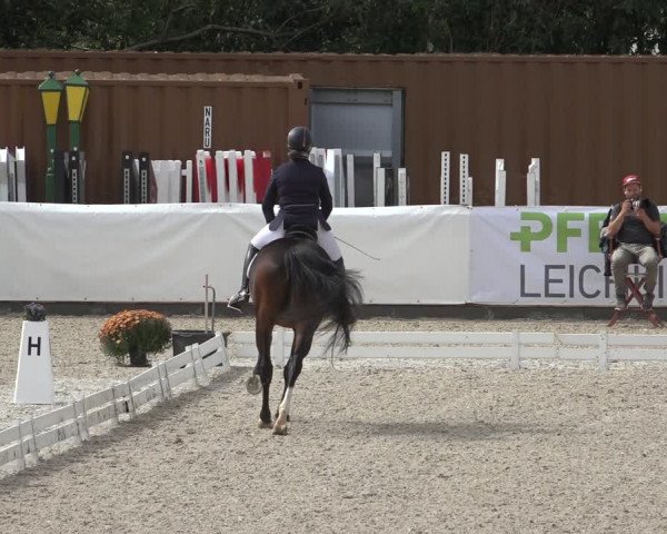 Reitturnier Leichlingen-Witzhelden 2022