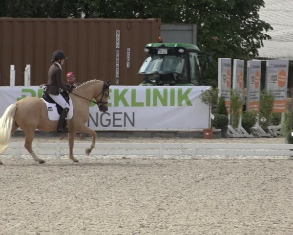 Reitturnier Leichlingen-Witzhelden 2022