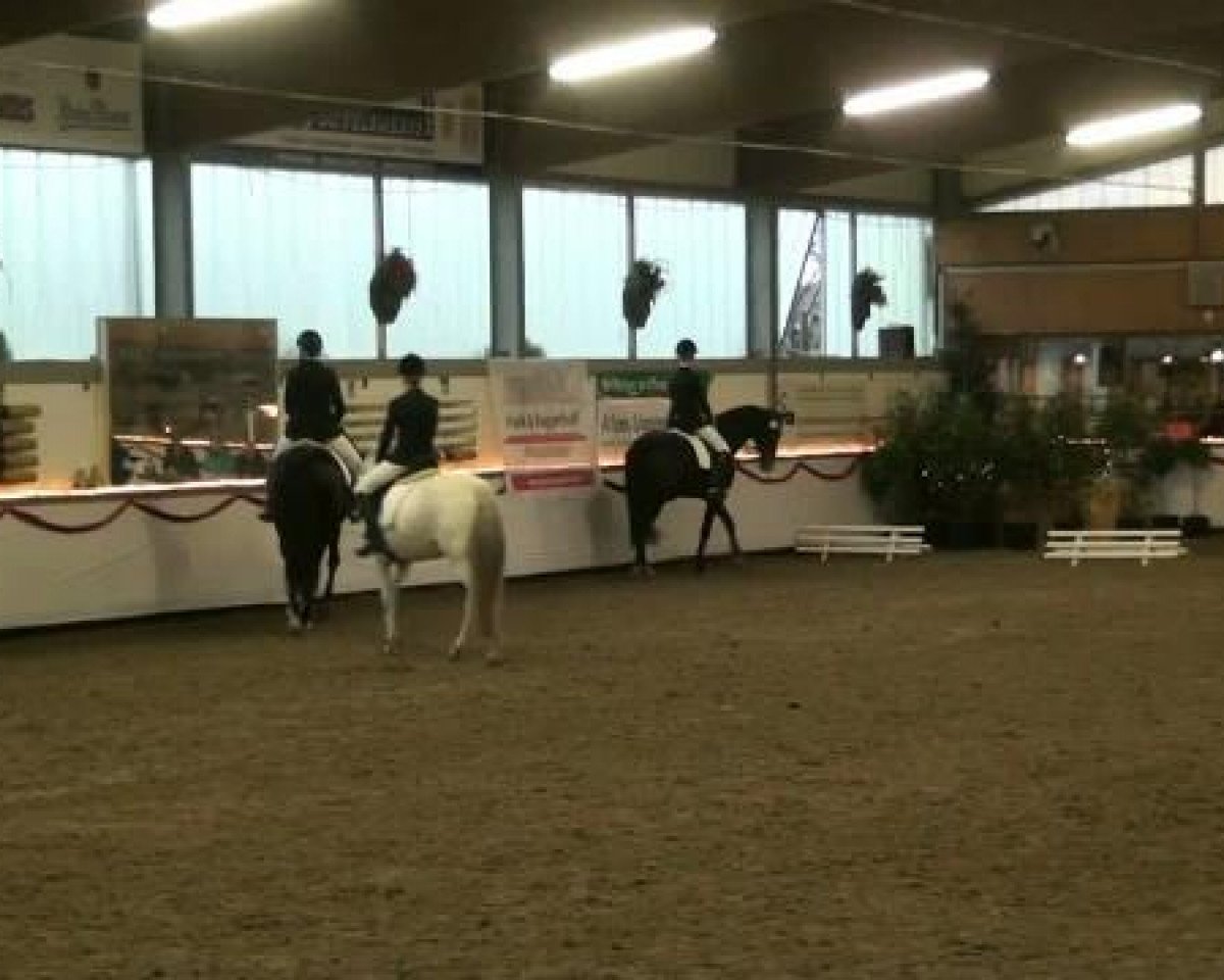 Dressurpferd Rivaldo 22 (Westfale, 2002, von Bmc Roman Nature) - Hallenturnier beim RFV Südlohn-Oeding e.V. 03.12.2011
13 Dressurprüfung Kl A
