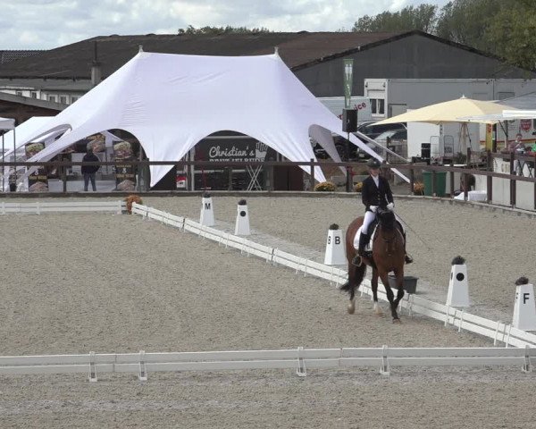 Reitturnier Leichlingen-Witzhelden 2022