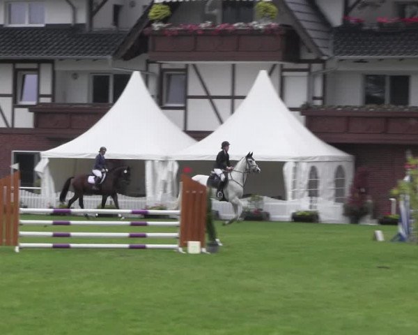 Reitturnier Münchehofe 2022