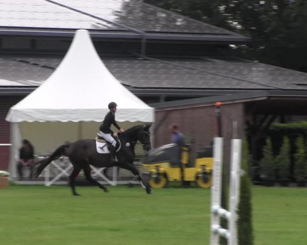 Reitturnier Münchehofe 2022