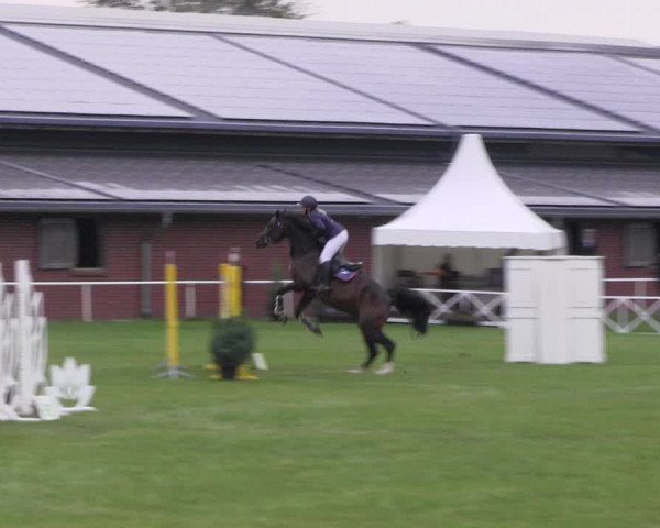 Reitturnier Münchehofe 2022