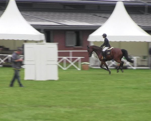 Reitturnier Münchehofe 2022