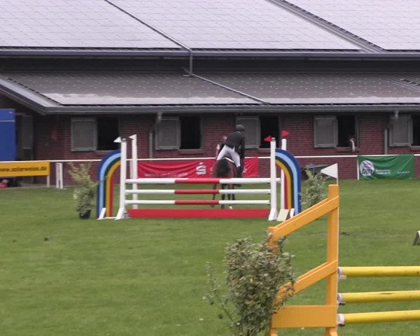 Reitturnier Münchehofe 2022