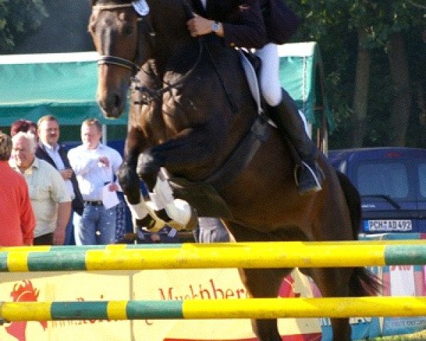 broodmare Maggie Mae 7 (Mecklenburg, 1999, from Methusalem)