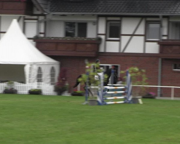 Reitturnier Münchehofe 2022