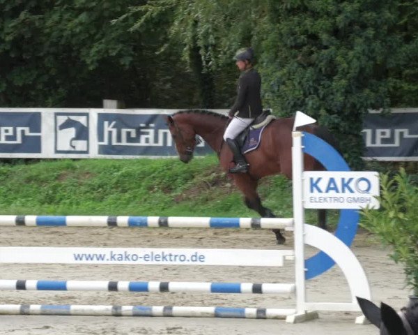Reitturnier Walldorf/Winterheck 2022