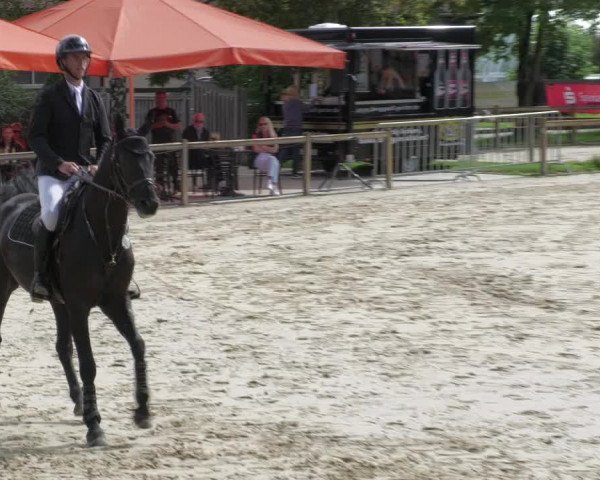 Reitturnier Walldorf/Winterheck 2022
