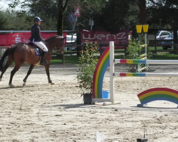 Reitturnier Walldorf/Winterheck 2022