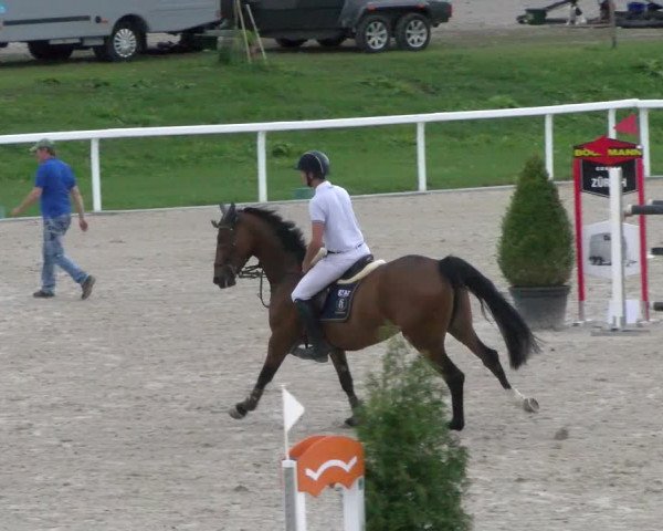 Reitturnier Bülach 2022