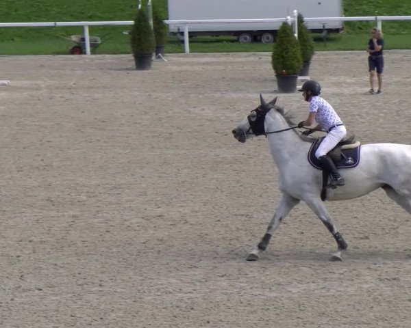 Reitturnier Bülach 2022