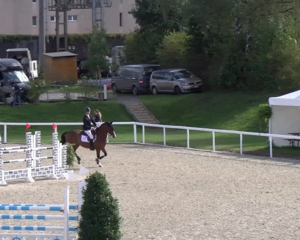 Reitturnier Bülach 2022