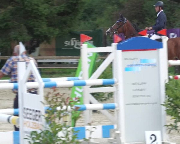 Reitturnier Walldorf/Winterheck 2022