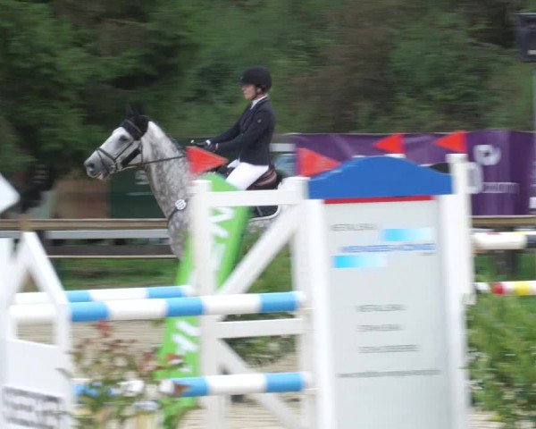 Reitturnier Walldorf/Winterheck 2022