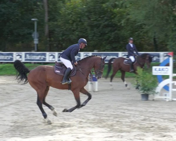 Reitturnier Walldorf/Winterheck 2022