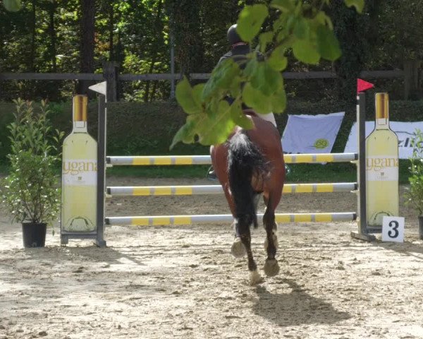 Reitturnier Walldorf/Winterheck 2022