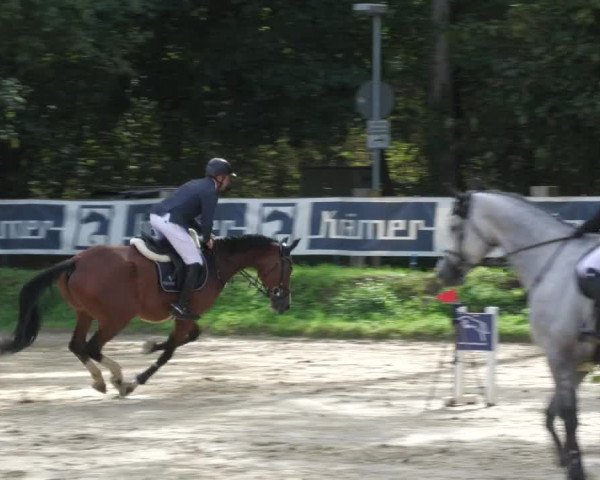 Reitturnier Walldorf/Winterheck 2022