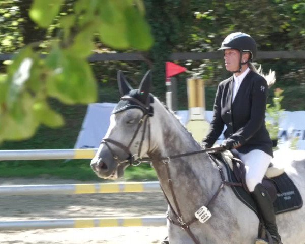Reitturnier Walldorf/Winterheck 2022