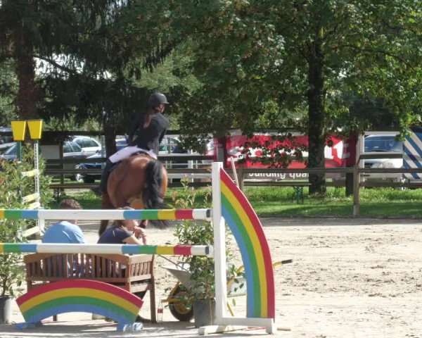 Reitturnier Walldorf/Winterheck 2022