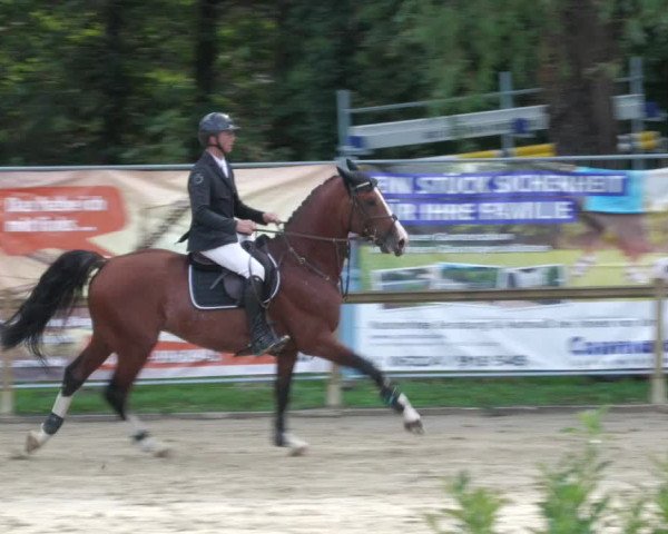 Reitturnier Walldorf/Winterheck 2022